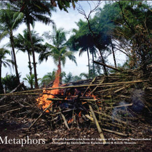 Apichatpong Weerasethakul - Metaphors: Selected Soundworks from the Cinema of Apichatpong Weerasethakul [vinyl 2LP]