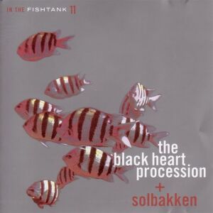 Black Heart Procession + Solbakken - In The Fishtank 11 [vinyl]