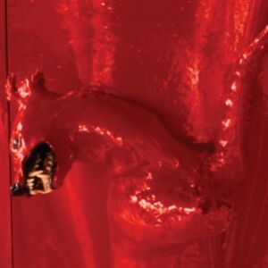 William Basinski - A Red Score in Tile [CD]