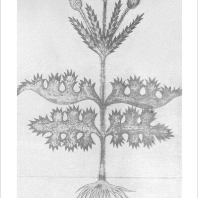 Mirosław RAJKOWSKI ZGRAJA / REGINATTO / RŐMISCH - WasserturMusic