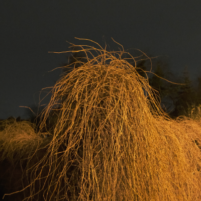 Mike Majkowski -  November [CD]