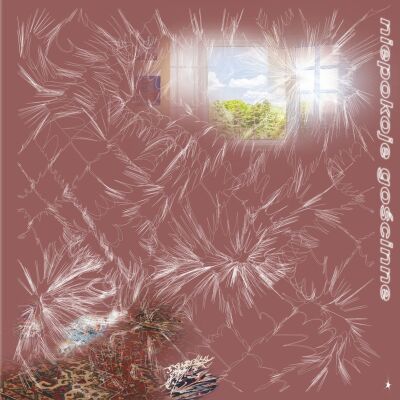 Niepokoje Gościnne - s/t [CD]