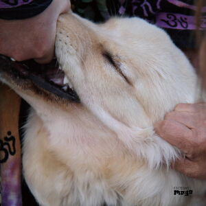 Christian Fennesz & Jim O'Rourke - It's Hard For Me To Say I’m Sorry [vinyl]