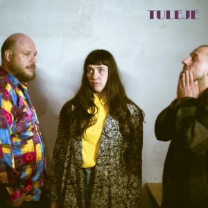 Tuleje - Puste ulice [vinyl 180g clear limited]