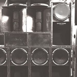 Ghost Dubs - Damaged (Repress 2026) [vinyl 2LP]