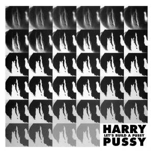 Harry Pussy - Let's Build A Pussy [vinyl 2LP]