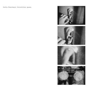 Martin Brandlmayr - Interstitial Spaces [vinyl limited]