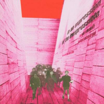 Blonde Redhead - In An Expression Of Inexpressible [vinyl]