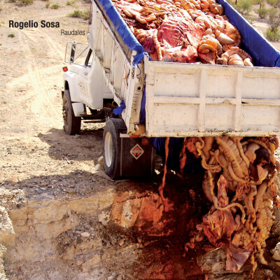 Rogelio Sosa - Raudales [CD]