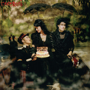 CocoRosie - The Adventures of Ghosthorse and Stillborn [CD]