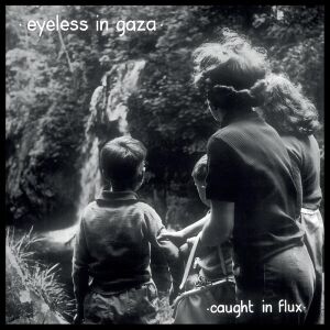 Eyeless in Gaza - Caught In Flux [vinyl 2LP]