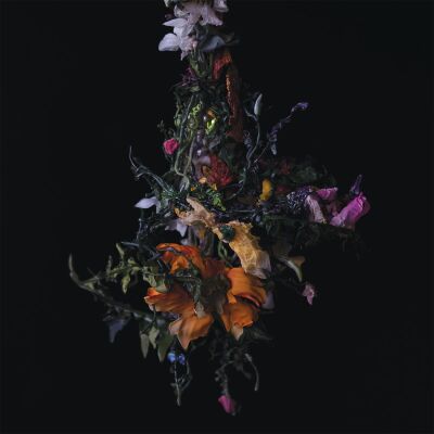 BIG | BRAVE - Nature Morte [CD]