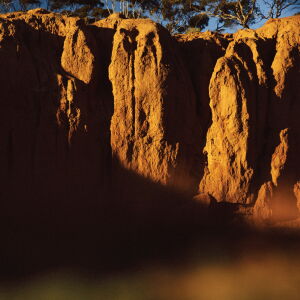 Shaolin Afronauts - The Fundamental Nature of Being, Part Three [CD]