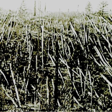 Próchno - Próchno [kaseta]