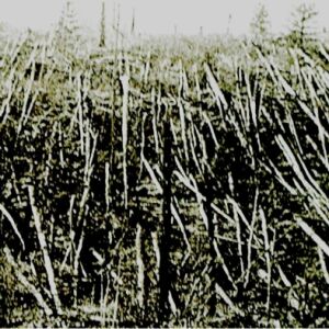 Próchno - Próchno [kaseta]