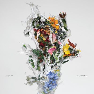 BIG | BRAVE - A Chaos Of Flowers [vinyl]