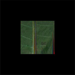 Polmuz - Drzewiej [vinyl + downloadcode (un)limited]