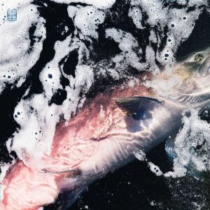 Jessika Kenney & Eyvind Kang - Azure [vinyl]