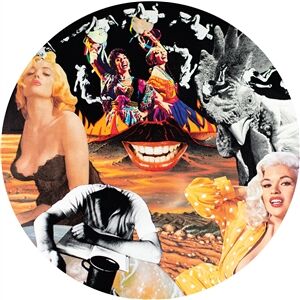 Nurse With Wound - Sylvie & Babs [vinyl picturedisc limited]
