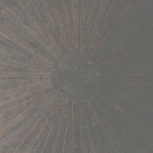 William Basinski & Lawrence English - Selva Oscura [vinyl]