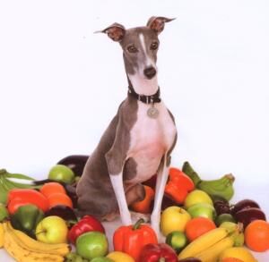 Shellac - Excellent Italian Greyhound [vinyl]
