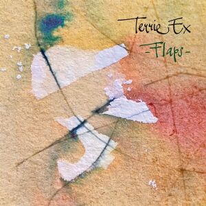 Terrie Ex - Flaps [vinyl]