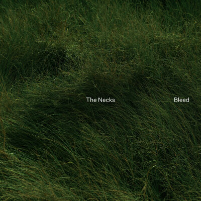 The Necks - Bleed [vinyl]