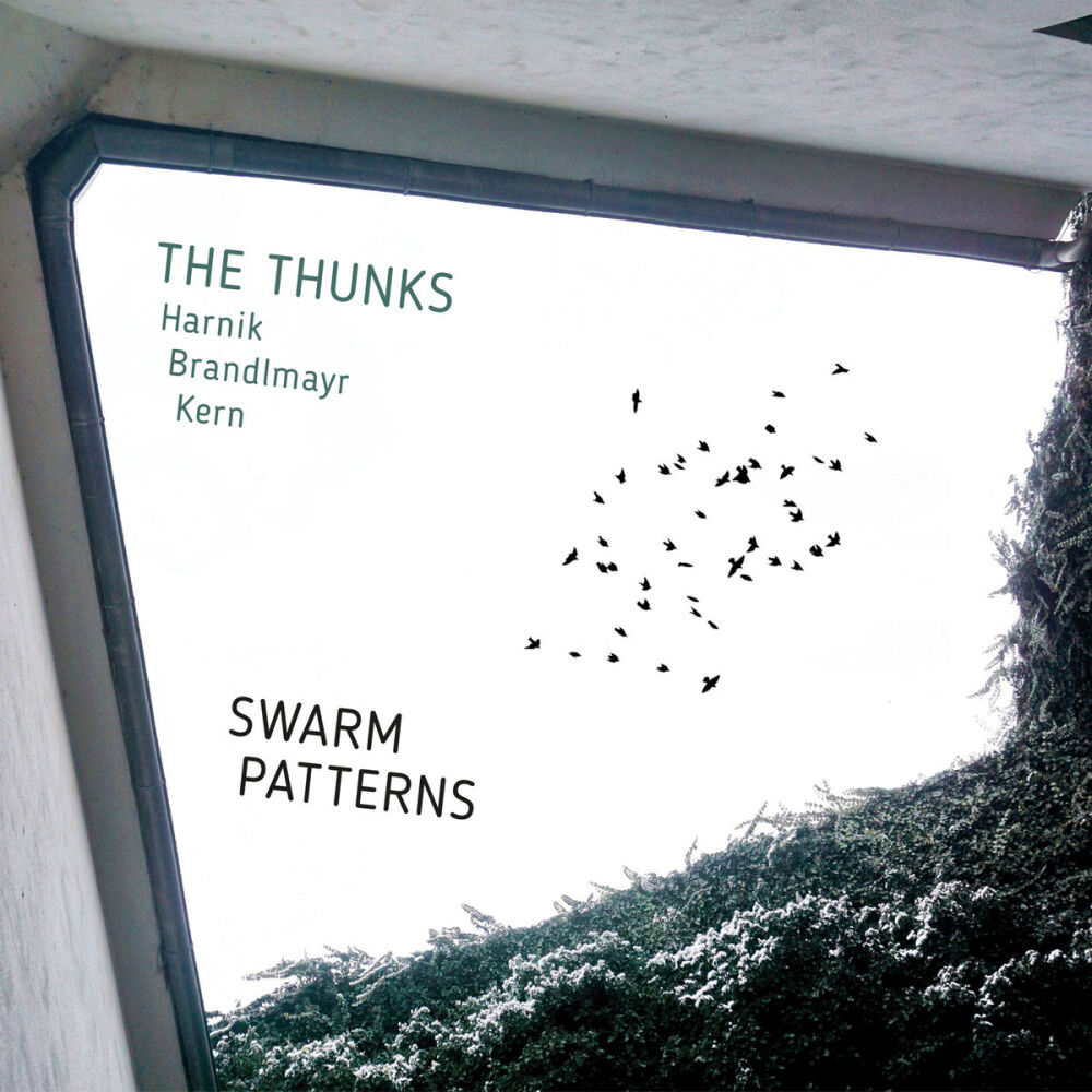The Thunks (Harnik/Brandlmayr/Kern) - Swarm Patterns [CD]