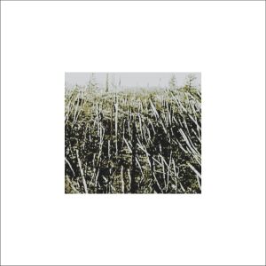 Próchno - Próchno [vinyl + downlaodcode (un)limited]