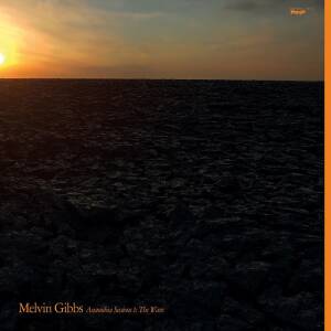 Melvin Gibbs - Anamibia Sessions 1: The Wave [vinyl]