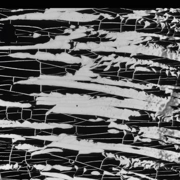 BJ Nilsen - Irreal [CD]