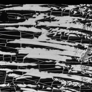 BJ Nilsen - Irreal [CD]