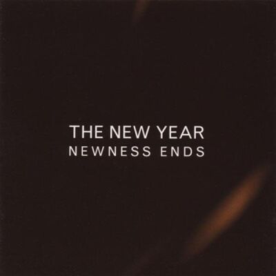 New Year, The - Newness Ends [vinyl]