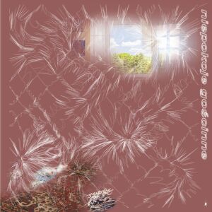 Niepokoje Gościnne - s/t [vinyl limited clear 180g + CD]