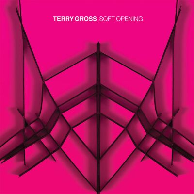 Terry Gross - Soft Opening [vinyl translucent pink limited]