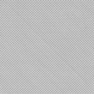 Olafur Arnalds & Nils Frahm - Loon [vinyl 12"EP + download]