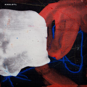 Lotto - Axolotl [vinyl 180g black (un)limited + DL]