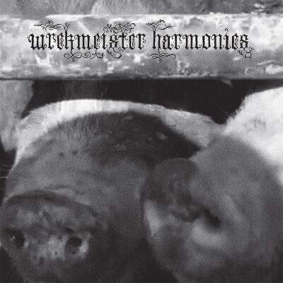 Wrekmeister Harmonies - Flowers In The Spring [vinyl pink limited]