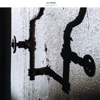 Die Angel - Entropien I [vinyl]