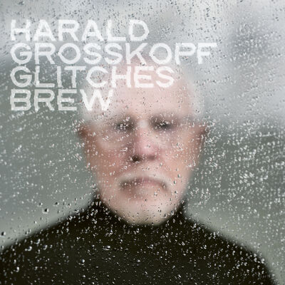 Harald Grosskopf - Glitches Brew [CD]