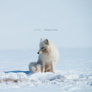 Aware - The Book Of Wind