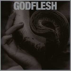Godflesh - Purge [CD]