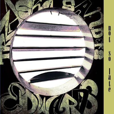 Mikołaj Trzaska, John Edwards, Mark Sanders - Not So Late [vinyl 10