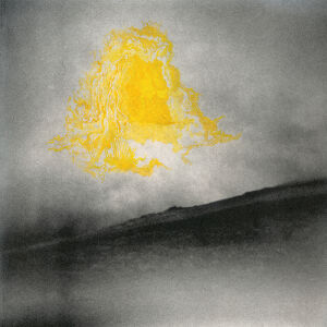 Shovel Dance Collective - Everything in Readiness [vinyl]