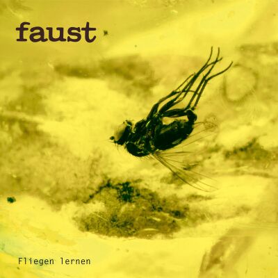 Faust - Fliegen lernen (curated by Gunther Wüsthoff) [CD]