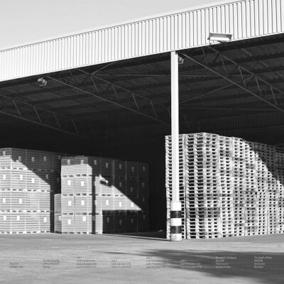 Mark Fell and Ga​́​bor La​́​za​́​r - The Neurobiology of Moral Decision Making [vinyl color 2LP]