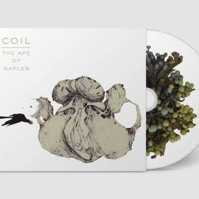 Coil - Ape of Naples (vinyl art cover) [2CD]