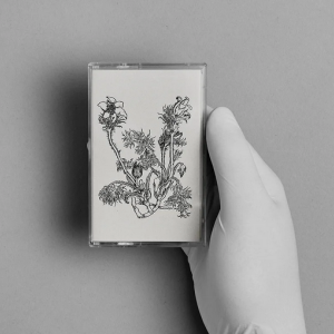 Cheval De Frise - Fresques sur les parois secrètes du crâne [MC-tape]