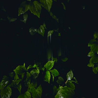 Martina Bertoni - Music For Empty Flats [vinyl 180g + downloadcode]