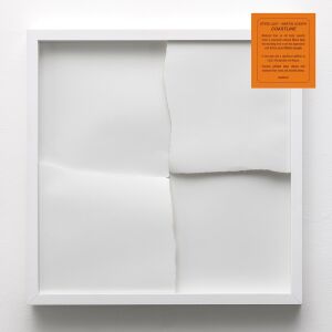 Steve Lacy & Martin Joseph - Coastline [vinyl]